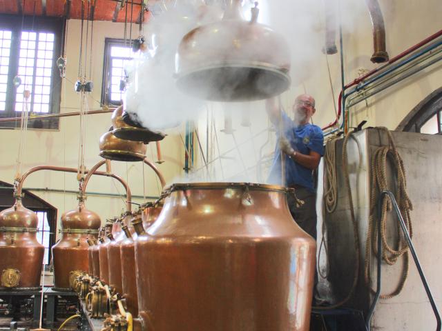 Palais Benedictine Distillerie 2017 10 C Oit Fecamp (8302)