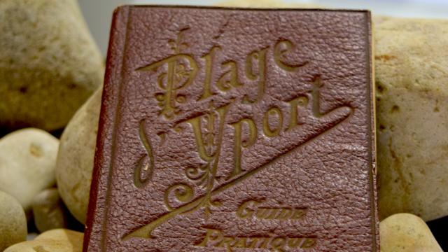 Musee Des Pecheries Book
