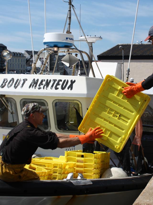 Port De Fecamp - visser