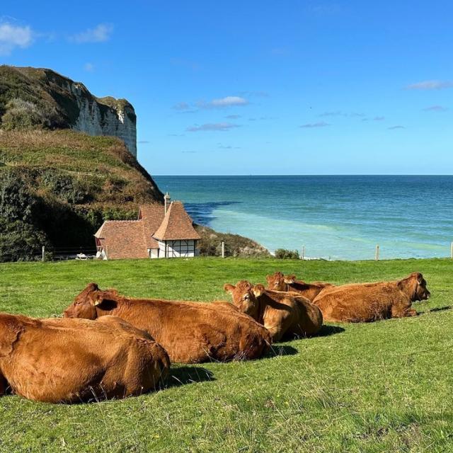 Instagram #cotedalbatre