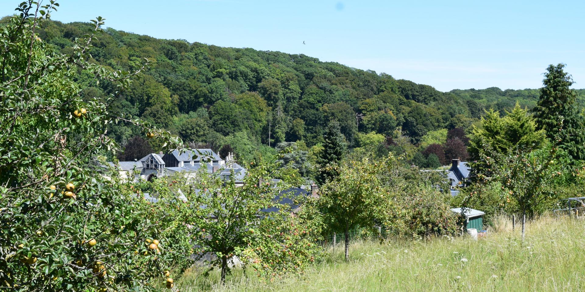 Valmont crédit OIT