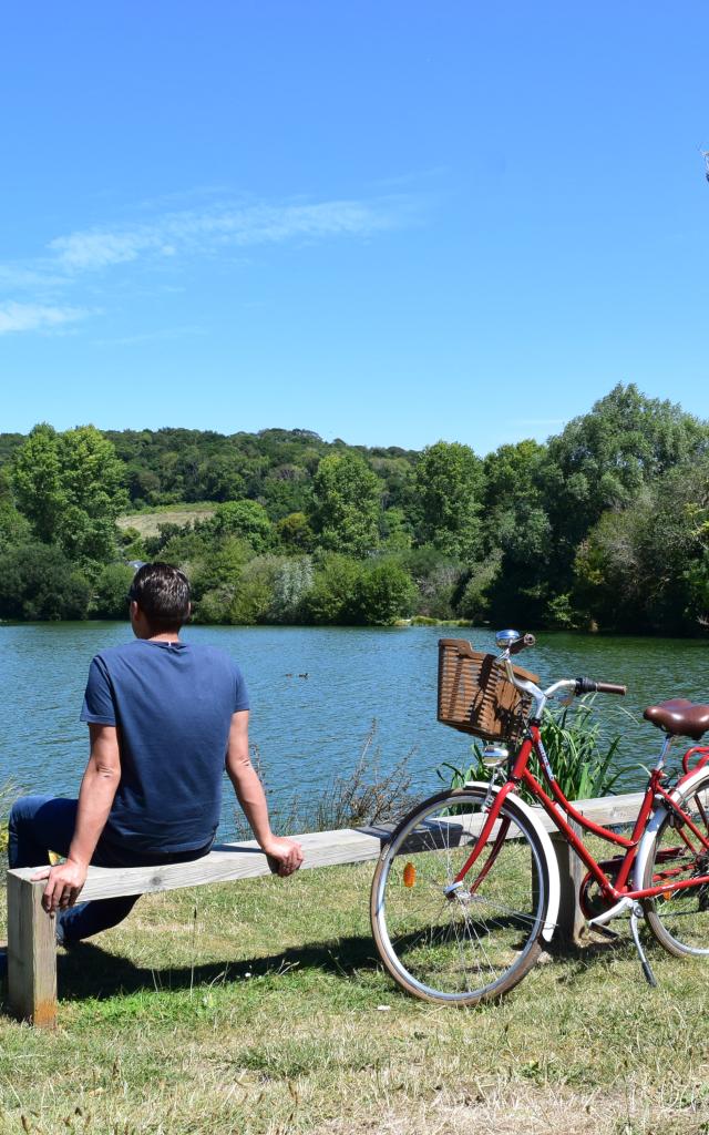 Coffe Bike - Bicycle