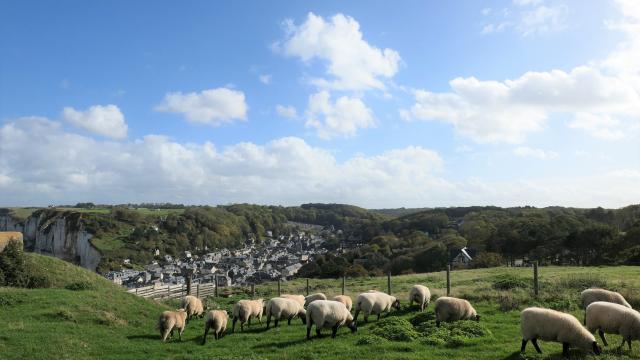 Yport Panorama