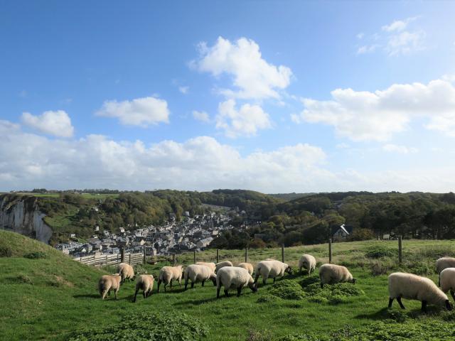 Yport Panorama