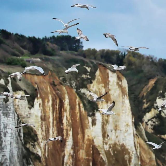 Instagram #cotedalbatre