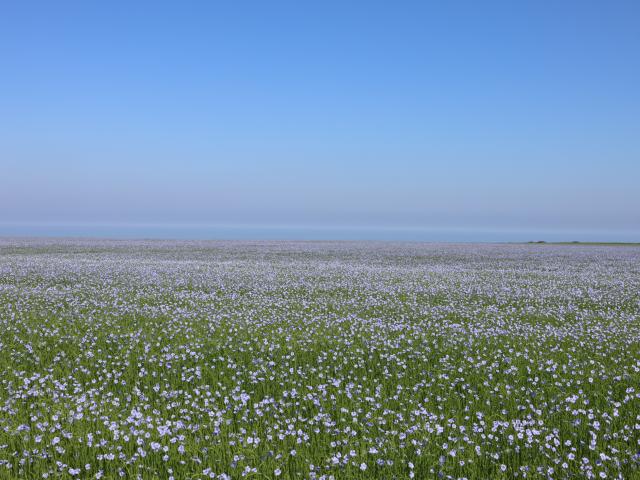 Champs De Lin Gr21 naar Cap Fagnet