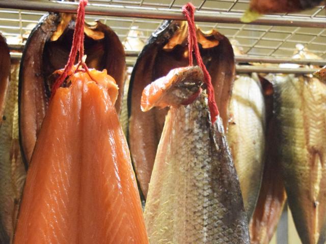 Salmon Fillet - SEPOA DELGOVE