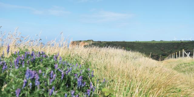 Gr21 Rando Petites Dalles Aout 2021 9
