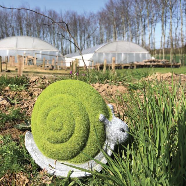 La Ferme Aux Escargots Epreville