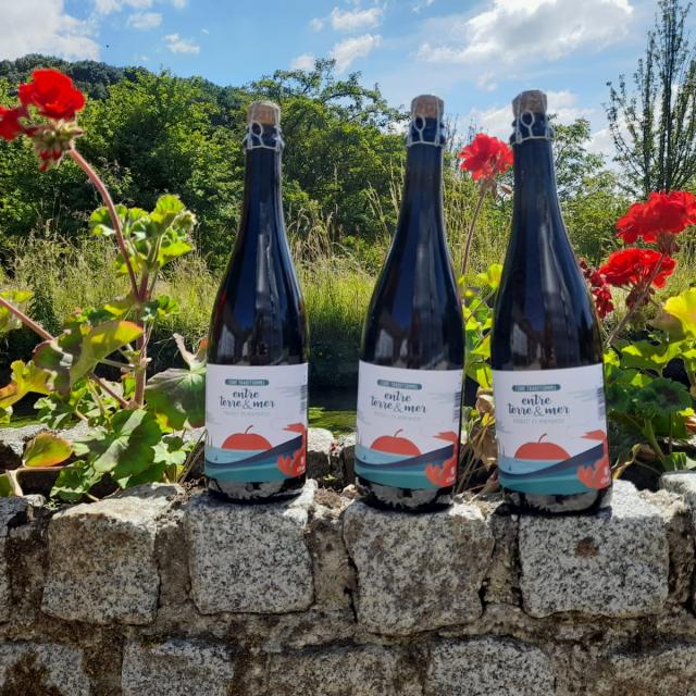 O Pressoir Des Hautes Falaises