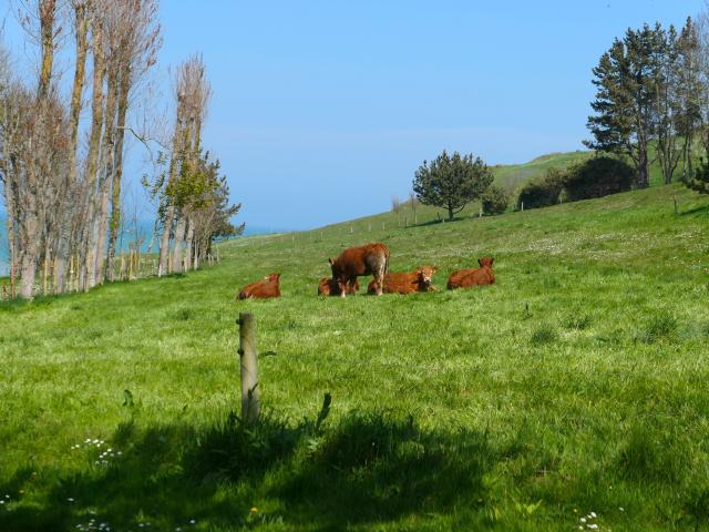 Vaucottes