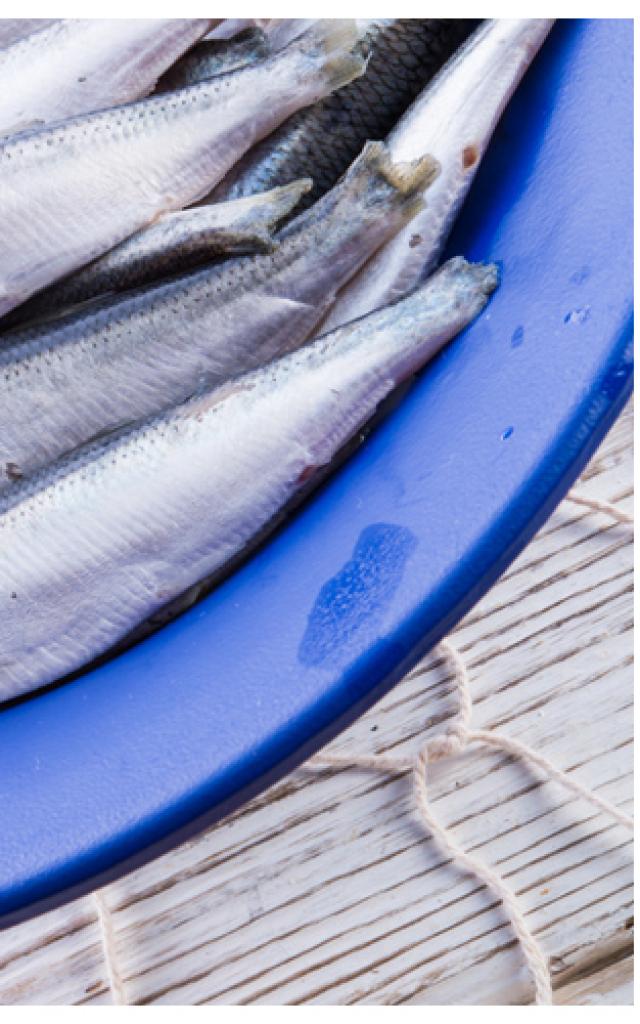 Harengs A La Mode De Fecamp