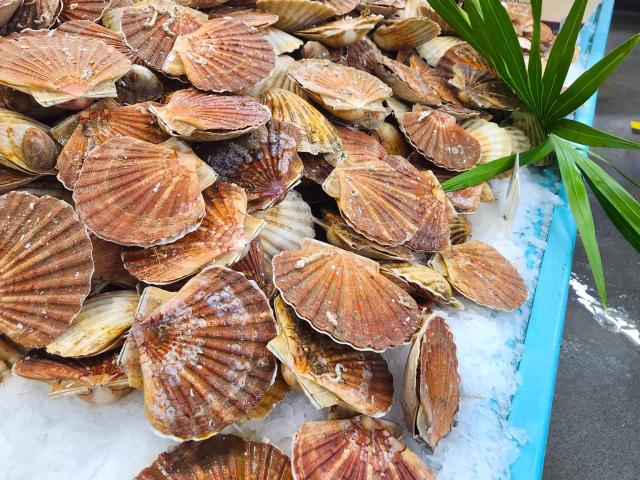 Coquille Saint Jacques La Nouvelle Vague 1