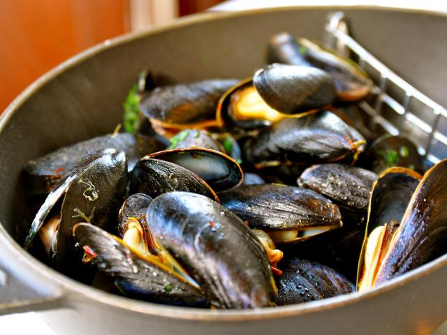 Mussels A La Normande