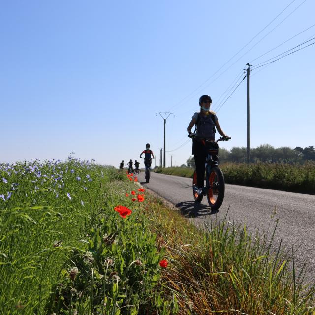 Balade Fécamp Trottinette électrique tout terrain avec Trott N Ride