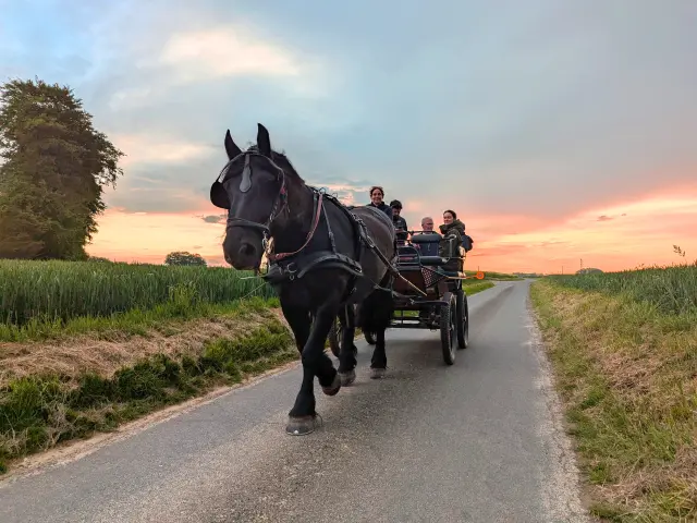 Jumenterie Des Nefliers Balade Au Pas Des Chevaux
